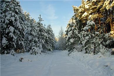 《白日梦魇：沙堡1994》演示视频 画面精美玩法刺激