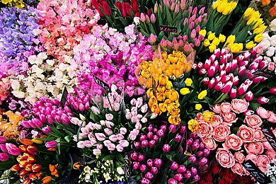 《忍者龙剑传4》从《银翼杀手》《攻壳机动队》中汲取灵感